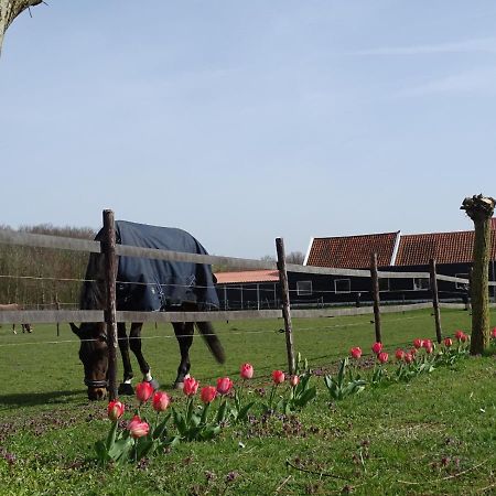De Tulp Bed & Breakfast Noordgouwe Екстериор снимка