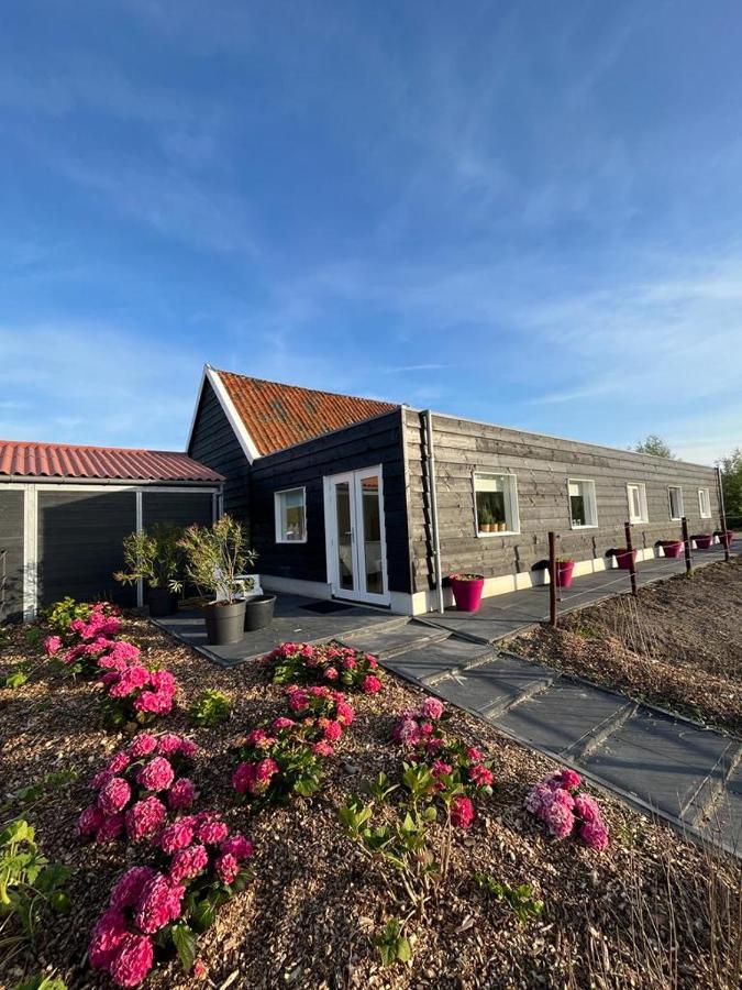 De Tulp Bed & Breakfast Noordgouwe Екстериор снимка