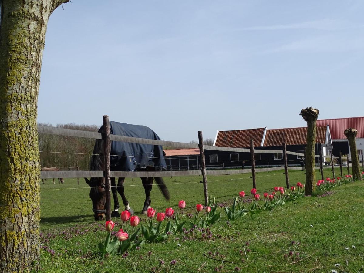 De Tulp Bed & Breakfast Noordgouwe Екстериор снимка