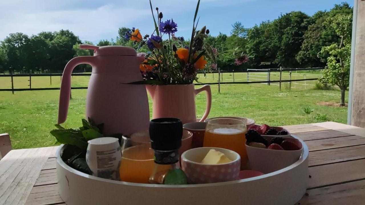 De Tulp Bed & Breakfast Noordgouwe Екстериор снимка