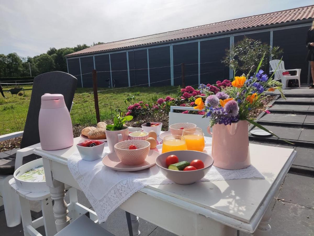 De Tulp Bed & Breakfast Noordgouwe Екстериор снимка