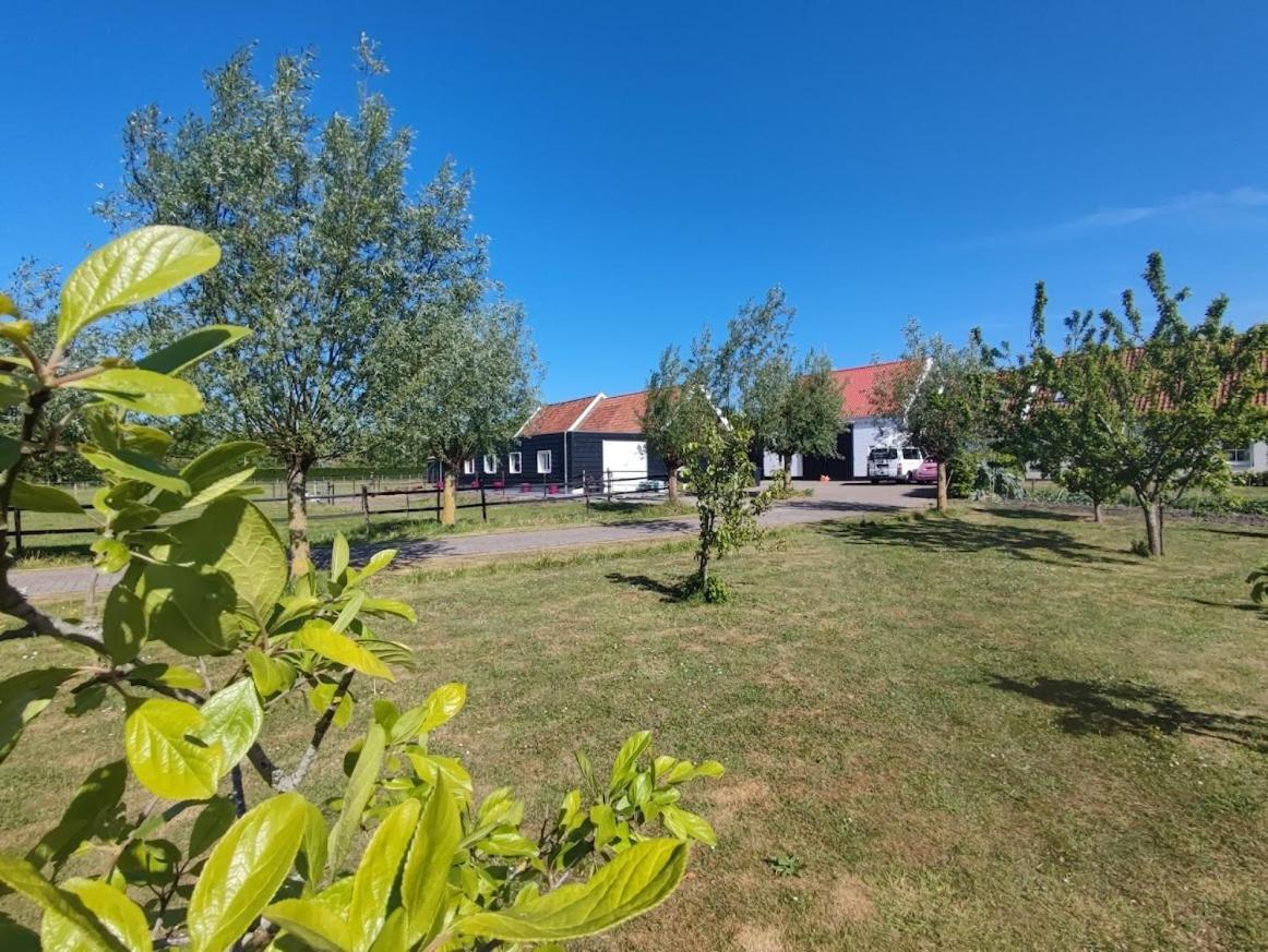 De Tulp Bed & Breakfast Noordgouwe Екстериор снимка