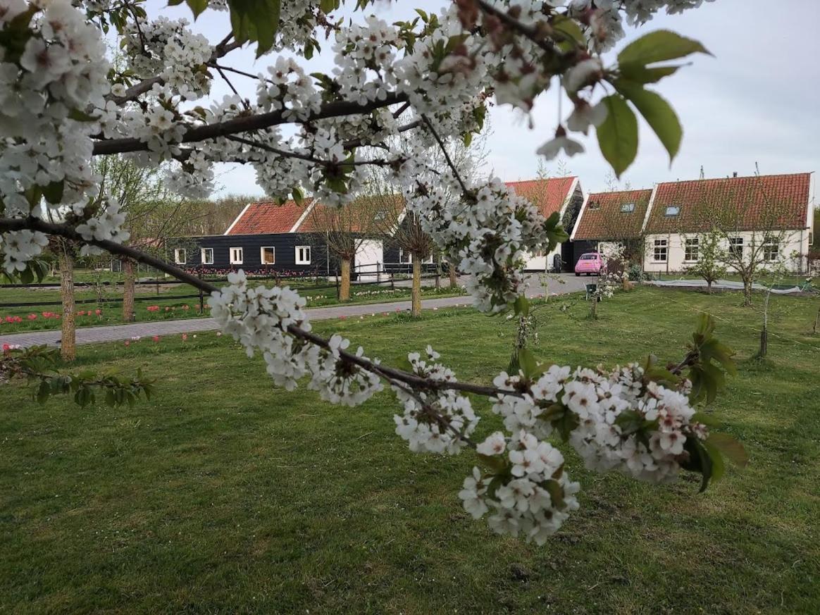 De Tulp Bed & Breakfast Noordgouwe Екстериор снимка